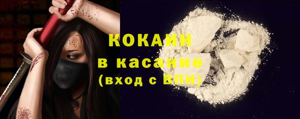 трава Аркадак