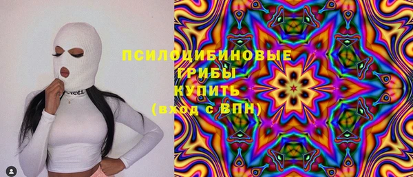 трава Аркадак