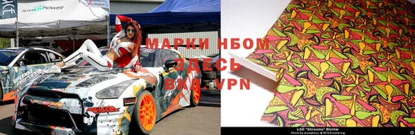 трава Аркадак