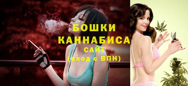 индика Бердск