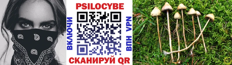 цена наркотик  Барыш  Псилоцибиновые грибы мицелий 